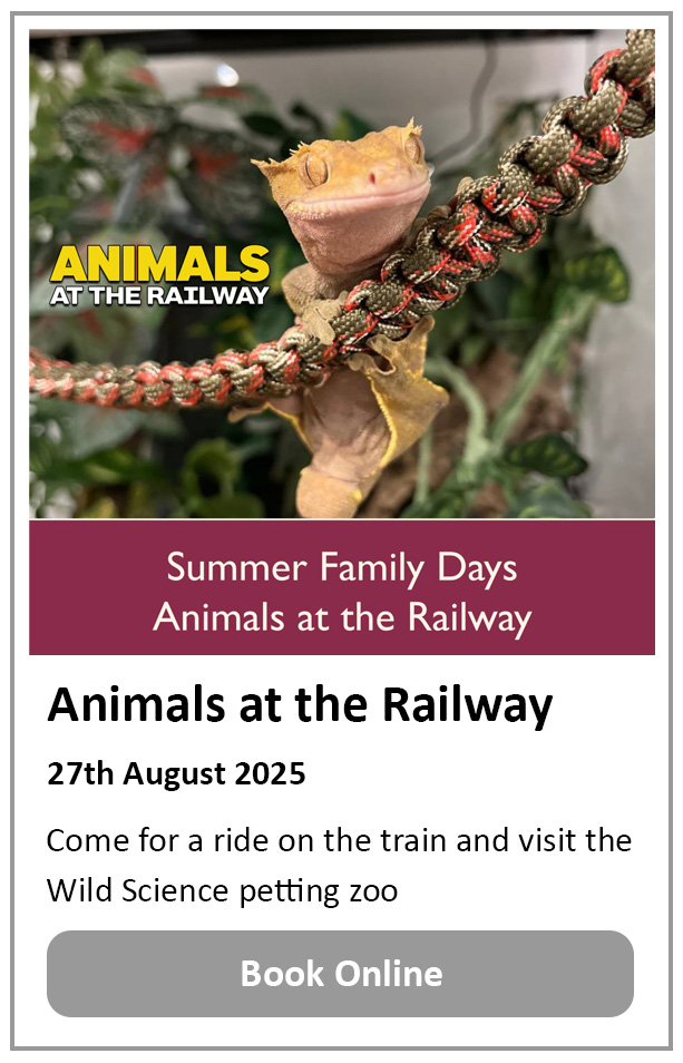 Animals at the Railway